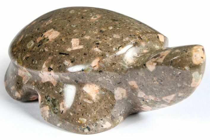 Polished Chinese Writing Rock Turtle - Arizona #366543